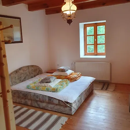 Apartment Bacshegyi Vendeghaz 1 *