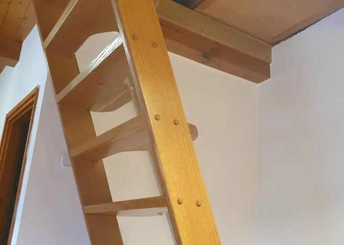 Apartman Bácshegyi 1