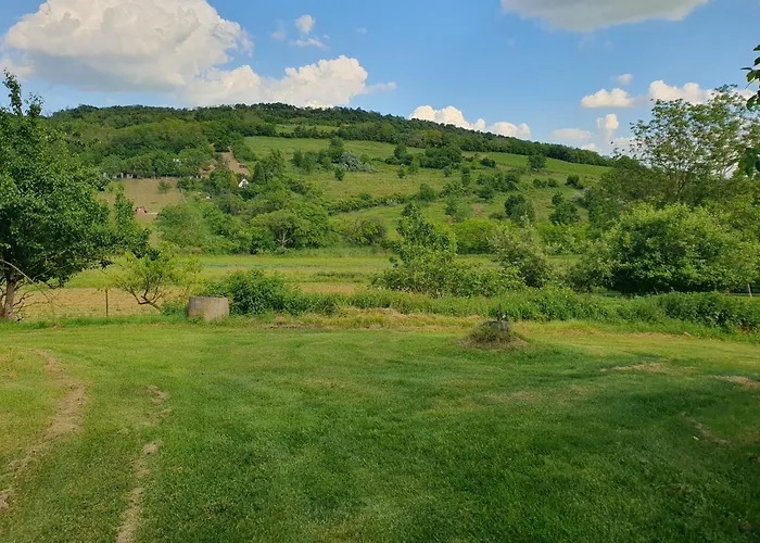 Bácshegyi 1 Apartman