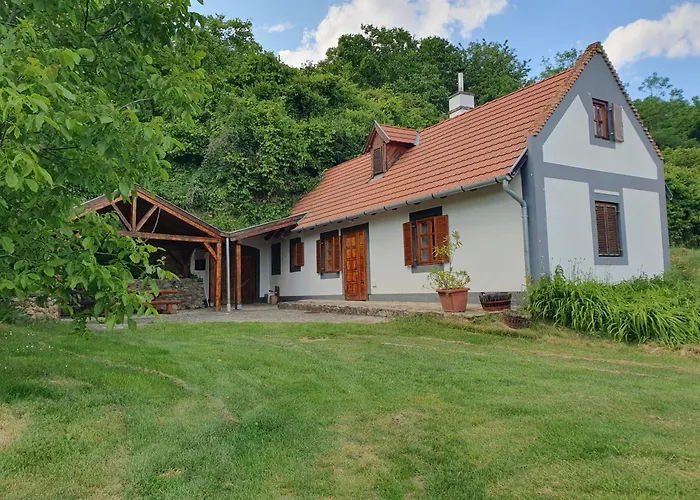 Apartman Bácshegyi 1