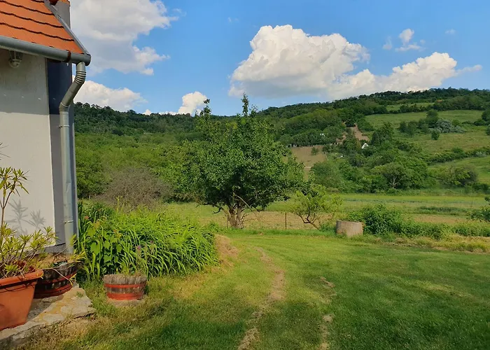 Bacshegyi Vendeghaz 1 公寓 Kaptalantoti